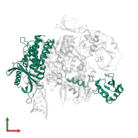 Polymerase acidic protein (PA-like) in PDB entry 8pt2, assembly 1, front view.