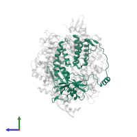 Polymerase acidic protein (PA-like) in PDB entry 8pt2, assembly 1, side view.