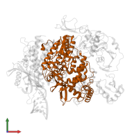 Putative PB1 in PDB entry 8pt2, assembly 1, front view.