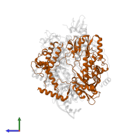 Putative PB1 in PDB entry 8pt2, assembly 1, side view.