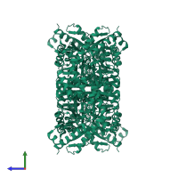 Aromatic amino acid beta-eliminating lyase/threonine aldolase domain-containing protein in PDB entry 8pum, assembly 1, side view.