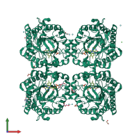 Homo tetrameric assembly 1 of PDB entry 8pun coloured by chemically distinct molecules, front view.