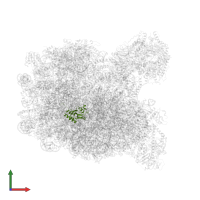 Large ribosomal subunit protein uL15/eL18 domain-containing protein in PDB entry 8pv6, assembly 1, front view.