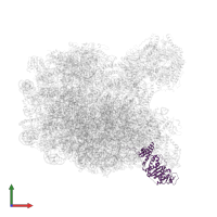 Pescadillo homolog in PDB entry 8pv6, assembly 1, front view.