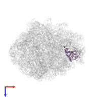 Pescadillo homolog in PDB entry 8pv6, assembly 1, top view.