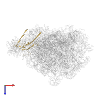 Ribosome biogenesis protein NOP53 in PDB entry 8pvk, assembly 1, top view.