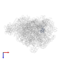 Putative ribosomal protein in PDB entry 8pvk, assembly 1, top view.