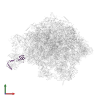 RRM domain-containing protein in PDB entry 8pvk, assembly 1, front view.