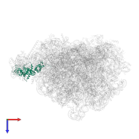 Pescadillo homolog in PDB entry 8pvk, assembly 1, top view.