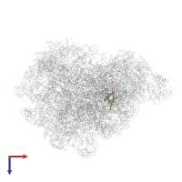 60S ribosomal protein L22-like protein in PDB entry 8pvl, assembly 1, top view.