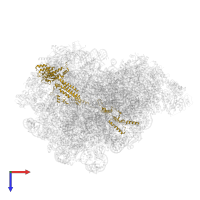 Nucleolar GTP-binding protein 1 in PDB entry 8pvl, assembly 1, top view.