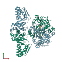 PDB entry 8pz5 coloured by chain, front view.