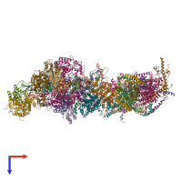 PDB entry 8q0q coloured by chain, top view.