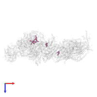 1,2-DIACYL-SN-GLYCERO-3-PHOSPHOCHOLINE in PDB entry 8q0q, assembly 1, top view.