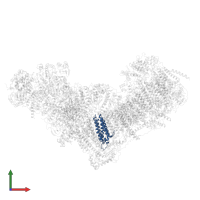 NADH-ubiquinone oxidoreductase chain 6 in PDB entry 8q1u, assembly 1, front view.