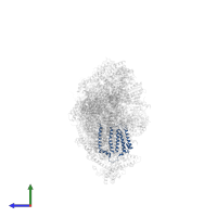 NADH-ubiquinone oxidoreductase chain 6 in PDB entry 8q1u, assembly 1, side view.