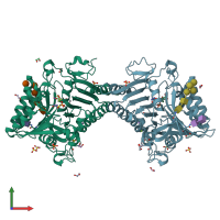 PDB entry 8q1x coloured by chain, front view.