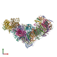 Hetero 45-meric assembly 1 of PDB entry 8q45 coloured by chemically distinct molecules, front view.