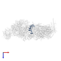 NADH-ubiquinone oxidoreductase chain 6 in PDB entry 8q45, assembly 1, top view.