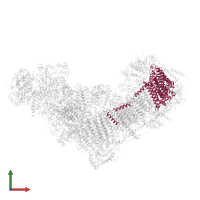 NADH-ubiquinone oxidoreductase chain 5 in PDB entry 8q45, assembly 1, front view.