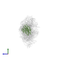 NADH-ubiquinone oxidoreductase chain 4 in PDB entry 8q45, assembly 1, side view.