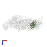 NADH-ubiquinone oxidoreductase chain 4 in PDB entry 8q45, assembly 1, top view.