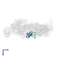 NADH dehydrogenase [ubiquinone] 1 alpha subcomplex subunit 10, mitochondrial in PDB entry 8q45, assembly 1, top view.