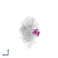 NADH dehydrogenase [ubiquinone] 1 alpha subcomplex subunit 9, mitochondrial in PDB entry 8q45, assembly 1, side view.