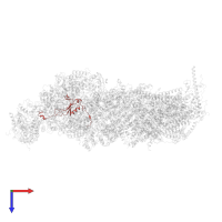 NADH dehydrogenase [ubiquinone] iron-sulfur protein 4, mitochondrial in PDB entry 8q45, assembly 1, top view.