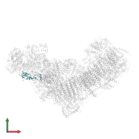 NADH dehydrogenase [ubiquinone] iron-sulfur protein 6, mitochondrial in PDB entry 8q45, assembly 1, front view.