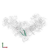 NADH-ubiquinone oxidoreductase chain 3 in PDB entry 8q45, assembly 1, front view.