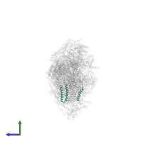 NADH-ubiquinone oxidoreductase chain 3 in PDB entry 8q45, assembly 1, side view.