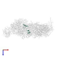 NADH-ubiquinone oxidoreductase chain 3 in PDB entry 8q45, assembly 1, top view.