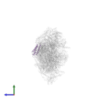 NADH dehydrogenase [ubiquinone] 1 alpha subcomplex subunit 5 in PDB entry 8q45, assembly 1, side view.