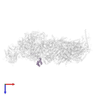 NADH dehydrogenase [ubiquinone] 1 alpha subcomplex subunit 5 in PDB entry 8q45, assembly 1, top view.