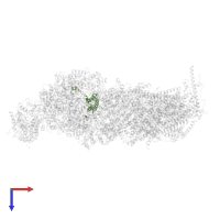 NADH dehydrogenase [ubiquinone] 1 alpha subcomplex subunit 6 in PDB entry 8q45, assembly 1, top view.