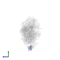 NADH dehydrogenase [ubiquinone] 1 alpha subcomplex subunit 8 in PDB entry 8q45, assembly 1, side view.