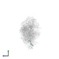 NADH dehydrogenase [ubiquinone] 1 alpha subcomplex subunit 1 in PDB entry 8q45, assembly 1, side view.