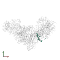 NADH dehydrogenase [ubiquinone] 1 subunit C2 in PDB entry 8q45, assembly 1, front view.