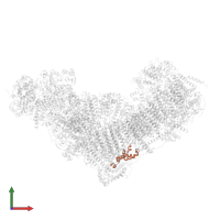 NADH dehydrogenase [ubiquinone] iron-sulfur protein 5 in PDB entry 8q45, assembly 1, front view.