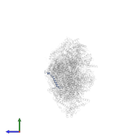 NADH dehydrogenase [ubiquinone] 1 beta subcomplex subunit 1 in PDB entry 8q45, assembly 1, side view.