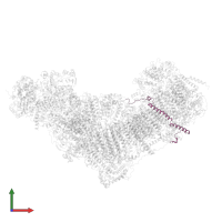 NADH dehydrogenase [ubiquinone] 1 beta subcomplex subunit 11, mitochondrial in PDB entry 8q45, assembly 1, front view.