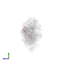 NADH dehydrogenase [ubiquinone] 1 beta subcomplex subunit 11, mitochondrial in PDB entry 8q45, assembly 1, side view.