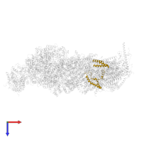 NADH dehydrogenase [ubiquinone] 1 beta subcomplex subunit 9 in PDB entry 8q45, assembly 1, top view.