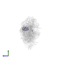 NADH dehydrogenase [ubiquinone] iron-sulfur protein 3, mitochondrial in PDB entry 8q45, assembly 1, side view.