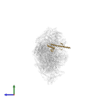 NADH dehydrogenase [ubiquinone] 1 beta subcomplex subunit 7 in PDB entry 8q45, assembly 1, side view.