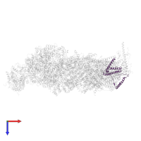 NADH dehydrogenase [ubiquinone] 1 beta subcomplex subunit 10 in PDB entry 8q45, assembly 1, top view.