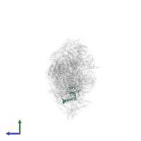 NADH dehydrogenase [ubiquinone] 1 alpha subcomplex subunit 12 in PDB entry 8q45, assembly 1, side view.