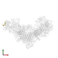 NADH dehydrogenase [ubiquinone] flavoprotein 3, mitochondrial in PDB entry 8q45, assembly 1, front view.