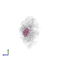 NADH dehydrogenase [ubiquinone] iron-sulfur protein 2, mitochondrial in PDB entry 8q45, assembly 1, side view.